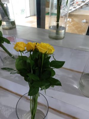 Rose Farming